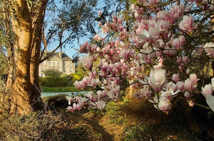 Parc-botanique-de-Haute-Bretagne-4 - 