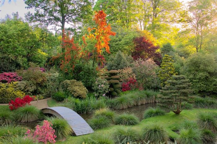 Parc-botanique-de-Haute-Bretagne-6 - 