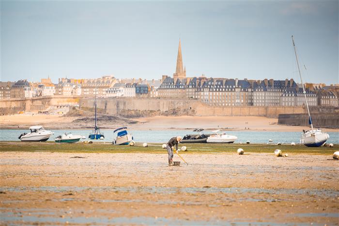 Pêche à pied à Saint-Malo - Dinard Côte Emeraude Tourisme