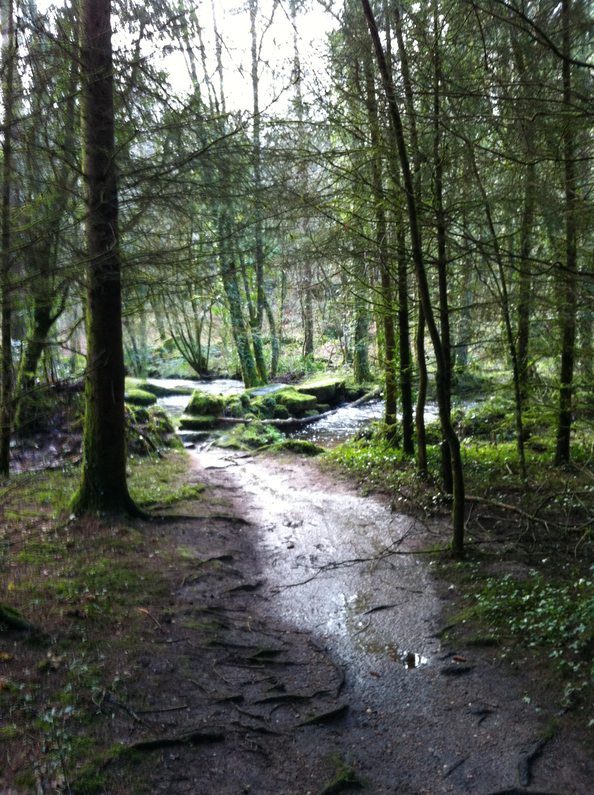 Pont_Moines_Langonnet©JFC