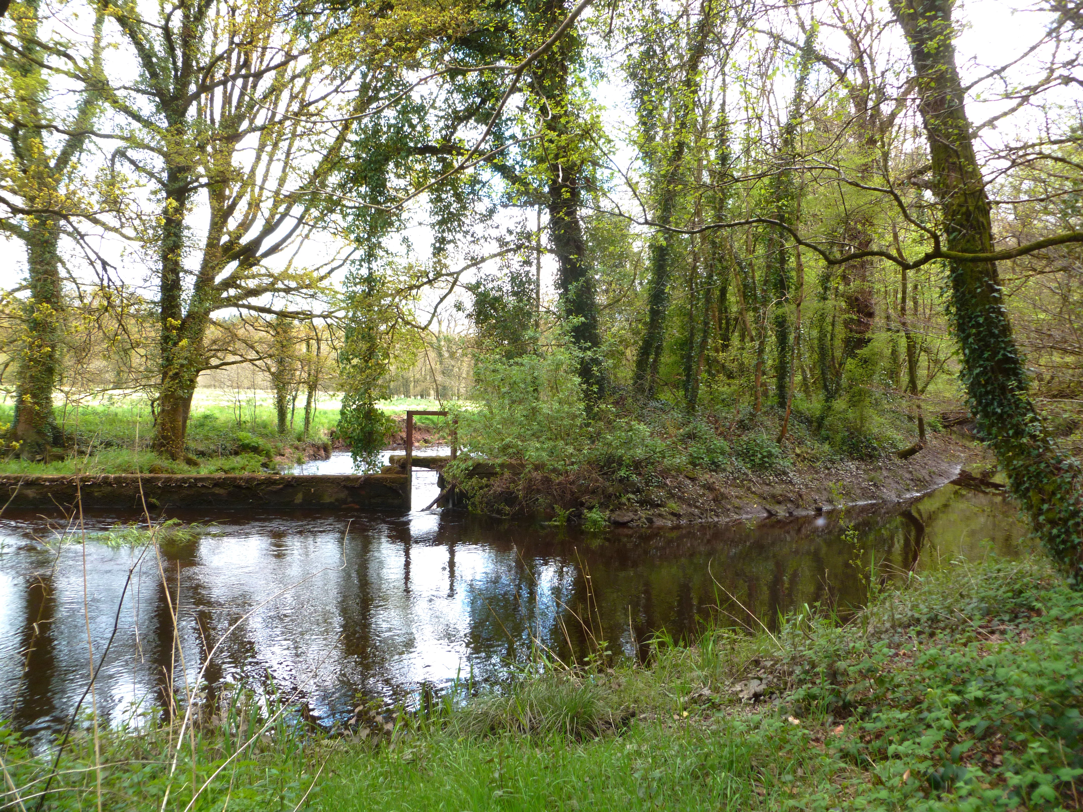 Riviere_Abbaye_langonnet