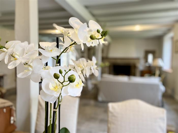 TERRE EMERAUDE CONCIERGERIE (2) - 