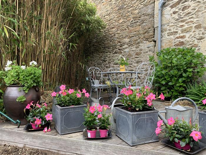 Terrasse1 - ©Mme Vautier