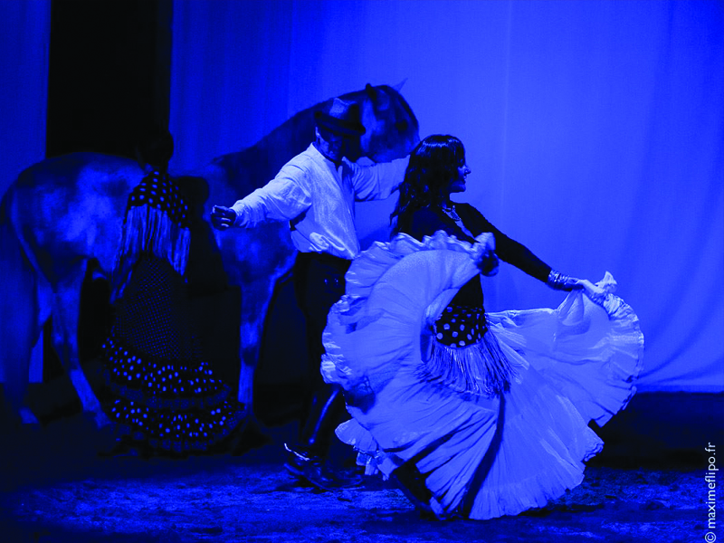 Théâtre équestre de Bretagne, La Gacilly, Destination Brocéliande, Bretagne