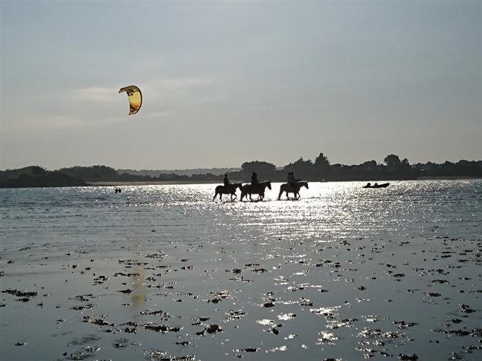 Ty Haras Lancieux - Promenade dans la Baie - © Ty Haras