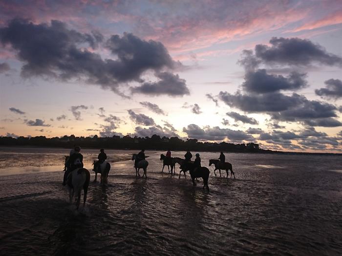 Ty Haras Lancieux - Promenade en soirée - © Ty Haras