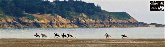 Ty Haras Lancieux - Promenade sur la plage - © Ty Haras