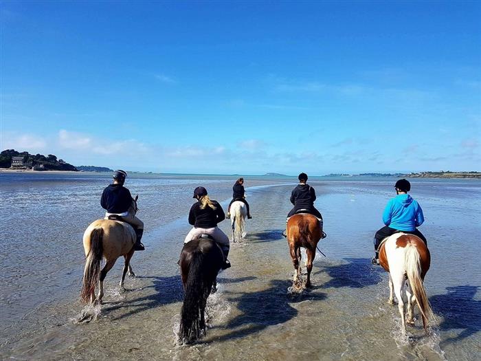 Ty Haras Lancieux - Promenade sur la plage-brochure - © Ty Haras