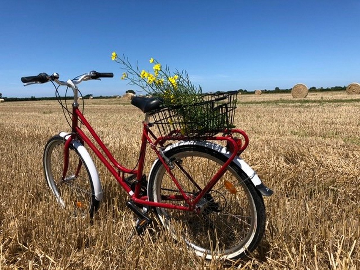 Vélo rouge