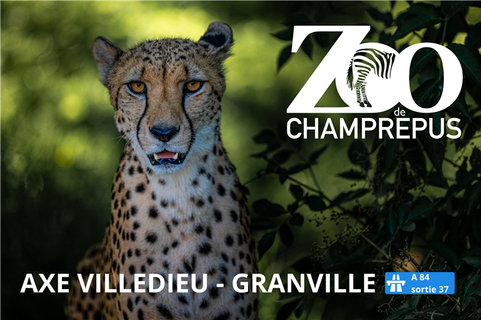 AXE VILLEDIEU - GRANVILLE - 1 - 