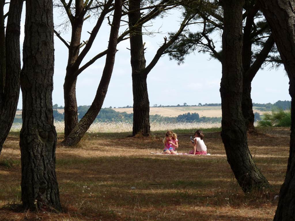 Plage-du-Branzais-Penestin-Morbihan-Bretagne-Sud