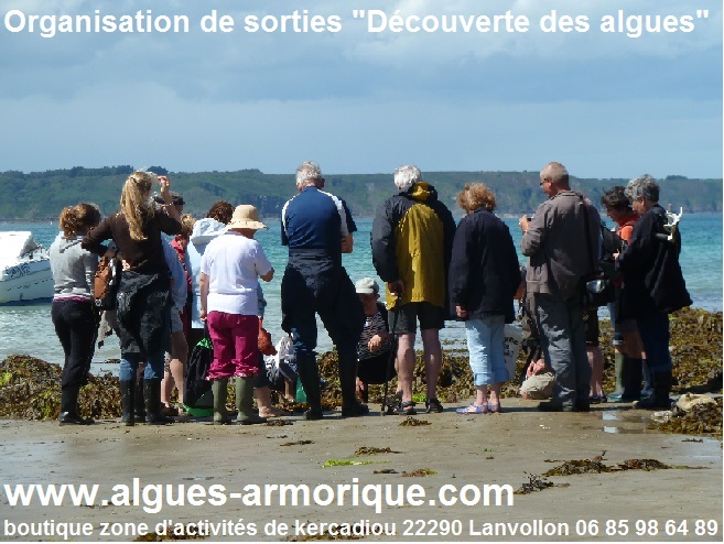 Visuel non libre de droit  - ©Office de tourisme Falaises d'Armor