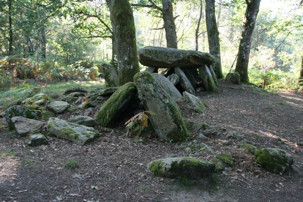 allée couverte la Loge au loup Trédion Morbihan Bretagne-sud