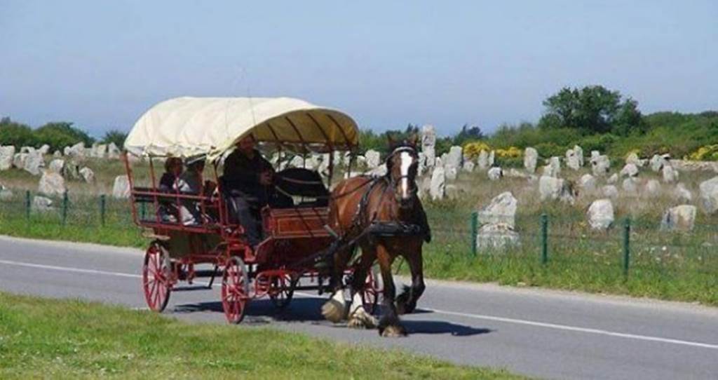 visite-guidée-calèche-carnac-Morbihan-Bretagne-Sud