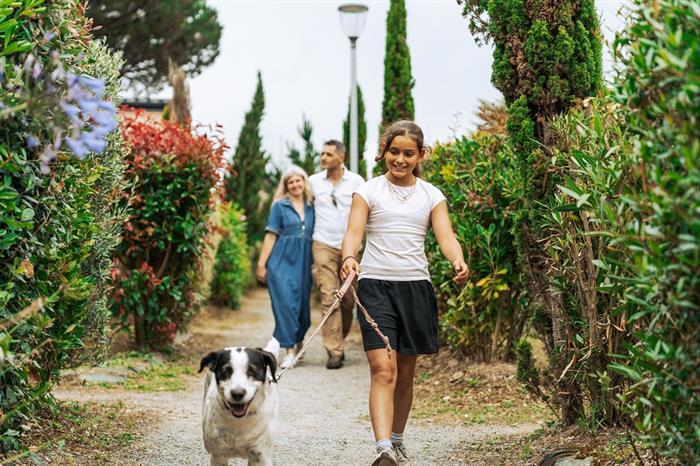camping-dogfriendly-bretagne - Jonas De Wever