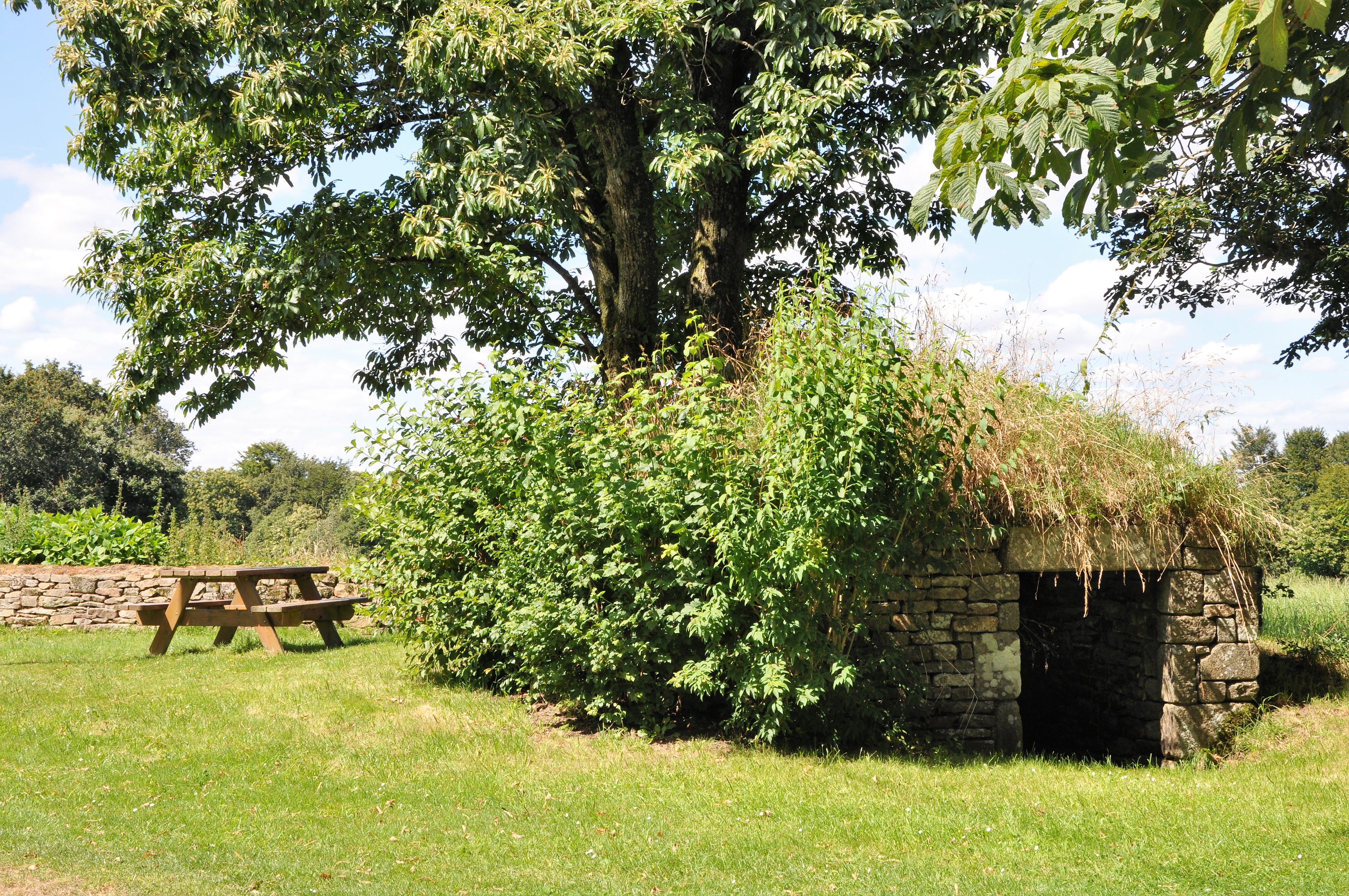 cave à boissons - Crénénan - Ploërdut - crédit photo OTPRM (1)