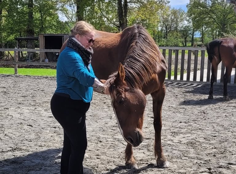 Constellations systémiques et familiales avec les chevaux