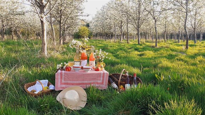 cidrerie-jouny-degustation-cidre-jus-plein-air-bretagne - 