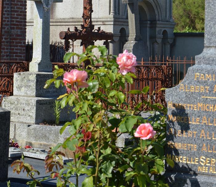 cimetière St-Enogat - Service VAH - ©VAH Dinard