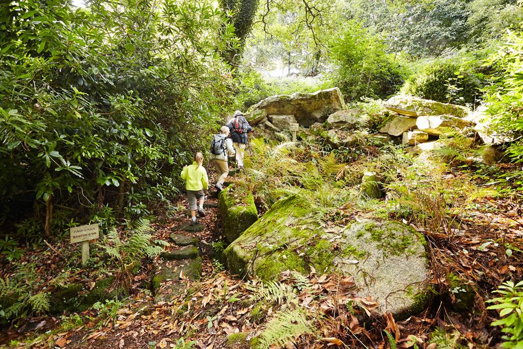 crtbmorvan-mg-9950 crtbmorvan-mg-9950