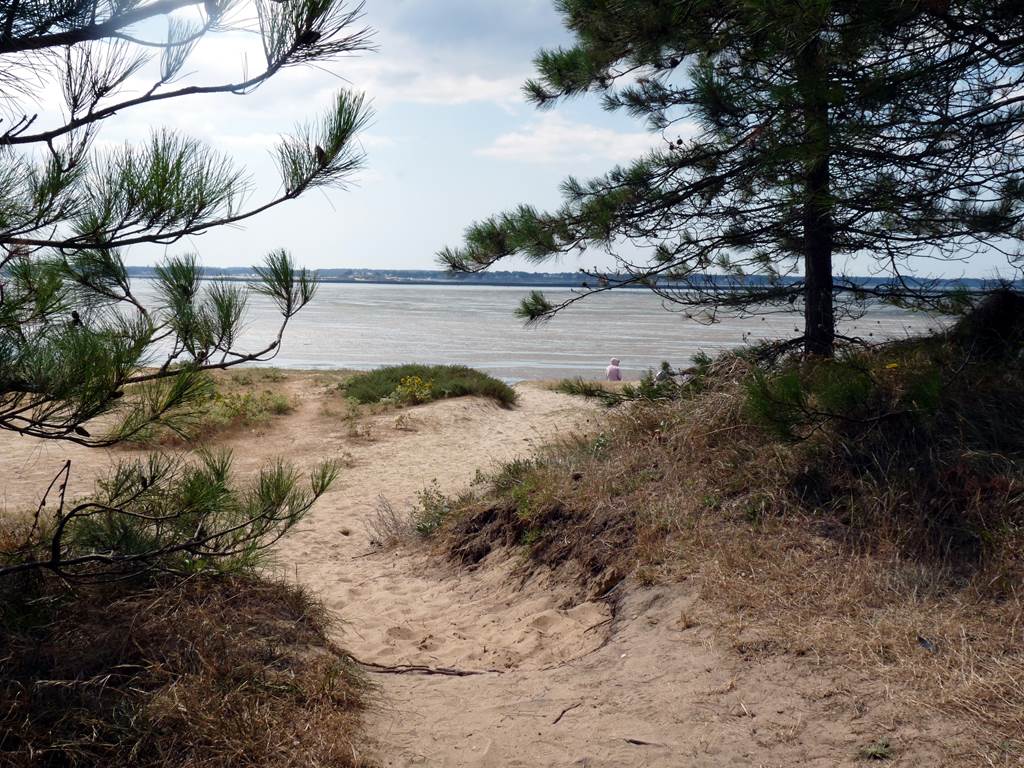 Plage-du-Palandrin-Penestin-Morbihan-Bretagne-Sud