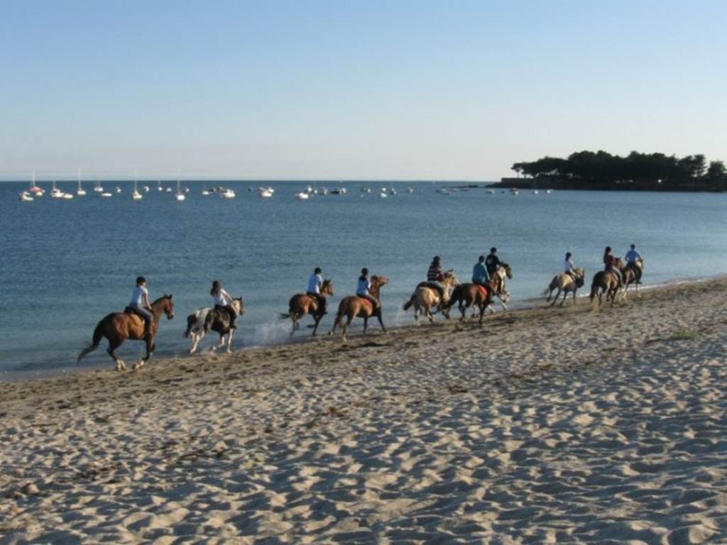 Centre-Equestre-de-Kerblanquet-Sarzeau-Presqu'île-de-Rhuys-Golfe-du-Morbihan-Bretagne sud