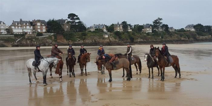 ecuries-saint-lunaire--Chevaux-grandes-plage - 