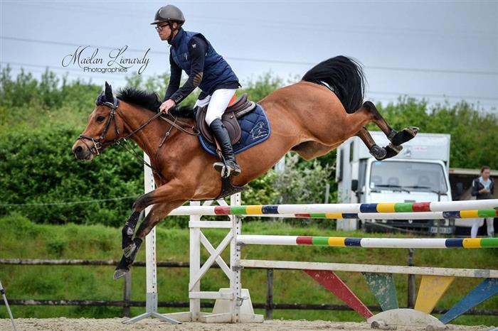 ecuries-saint-lunaire-Chevaux-parcours - 