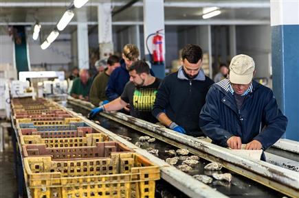 ©La Ferme Marine