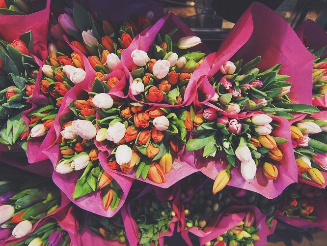 flowers-1245820_1920 - ©Pixabay