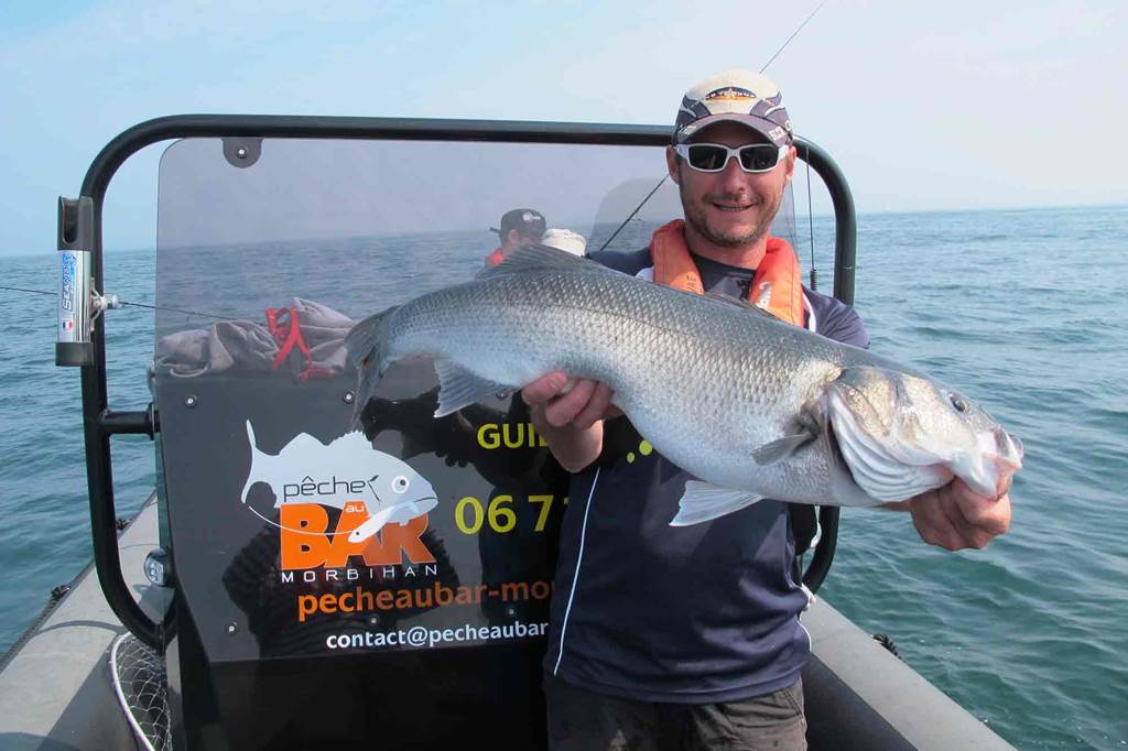 Pêche-au-Bar-Golfe-du-Morbihan-Bretagne sud