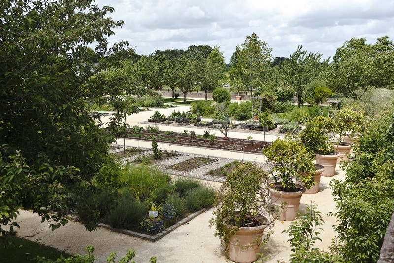 jardin botanique la gacilly-morbihan-bretagne-sud.jpg