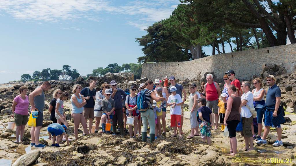 guide-nature-melanie-chouan-trinite-sur-mer-morbihan-bretagne-sud