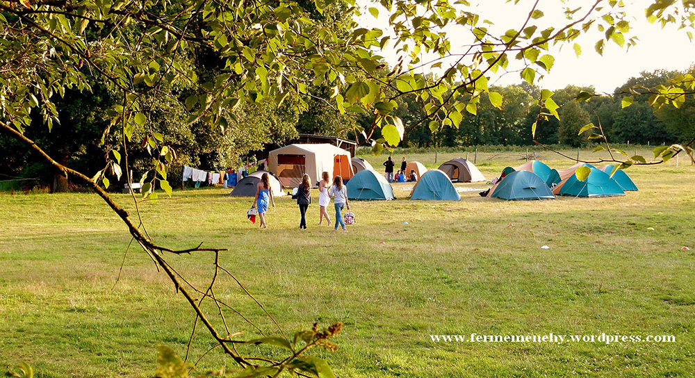 Camping du Ménéhy - St Vincent sur Oust