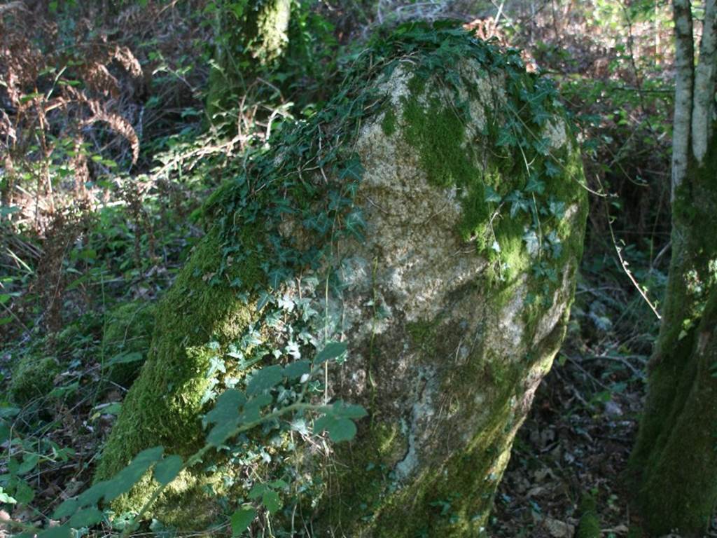 dolmen de Coeby Trédion Morbihan Bretagne-sud