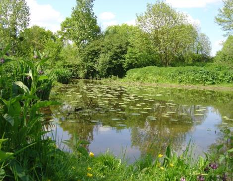 Le site naturel de Pasdavy à Servon-sur-Vilaine