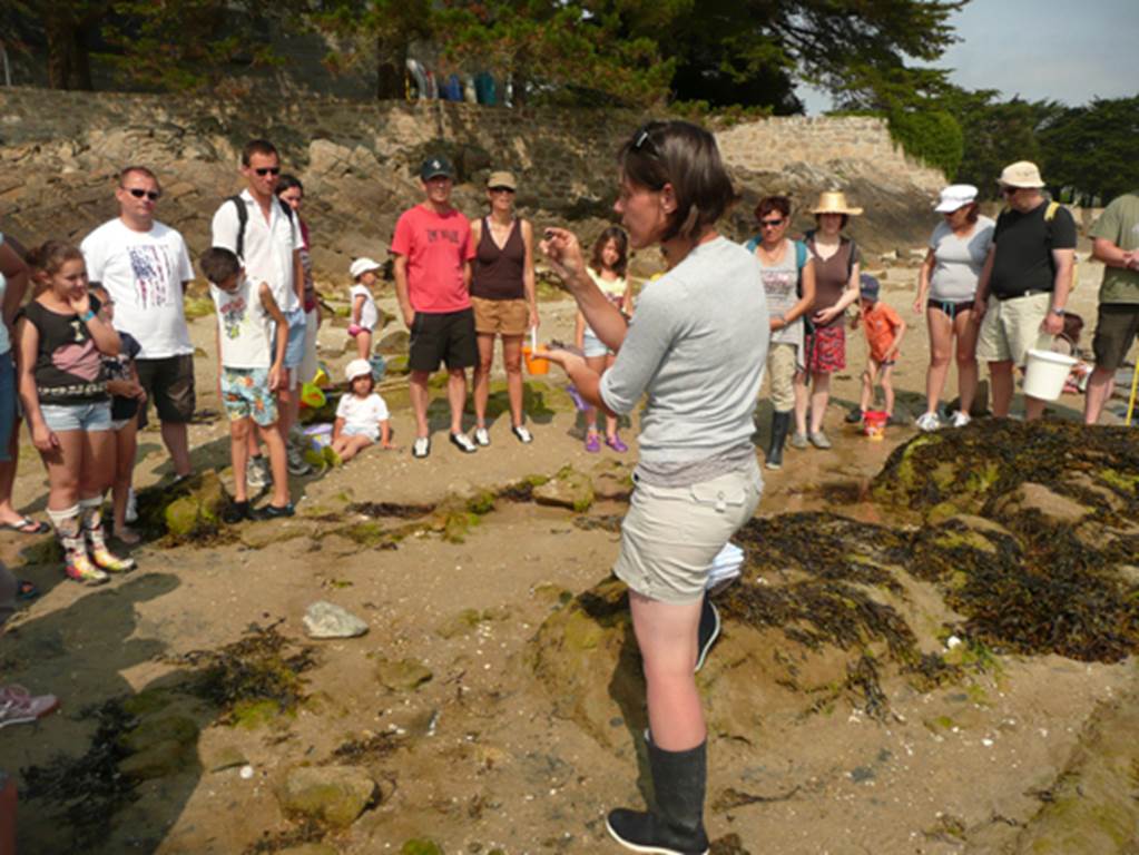 guide nature-carnac-morbihan-bretagne-sud