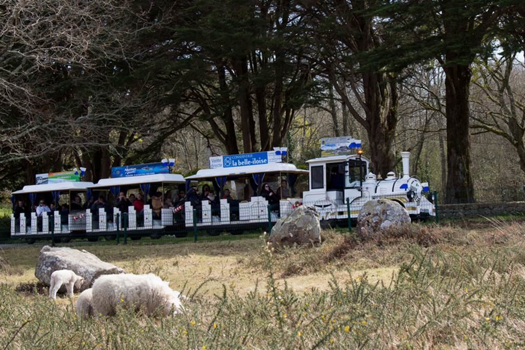 Les petits trains du morbihan