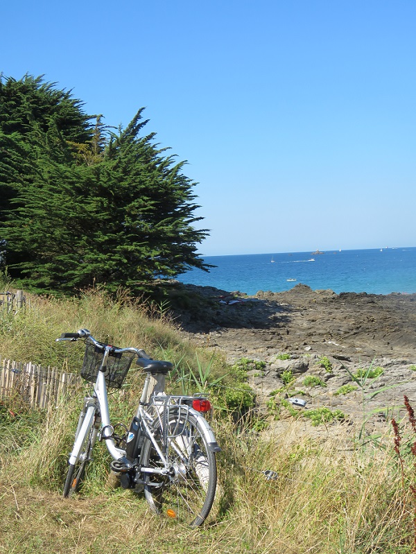 plage-du-tertre-pele--1- - ©A.POULET