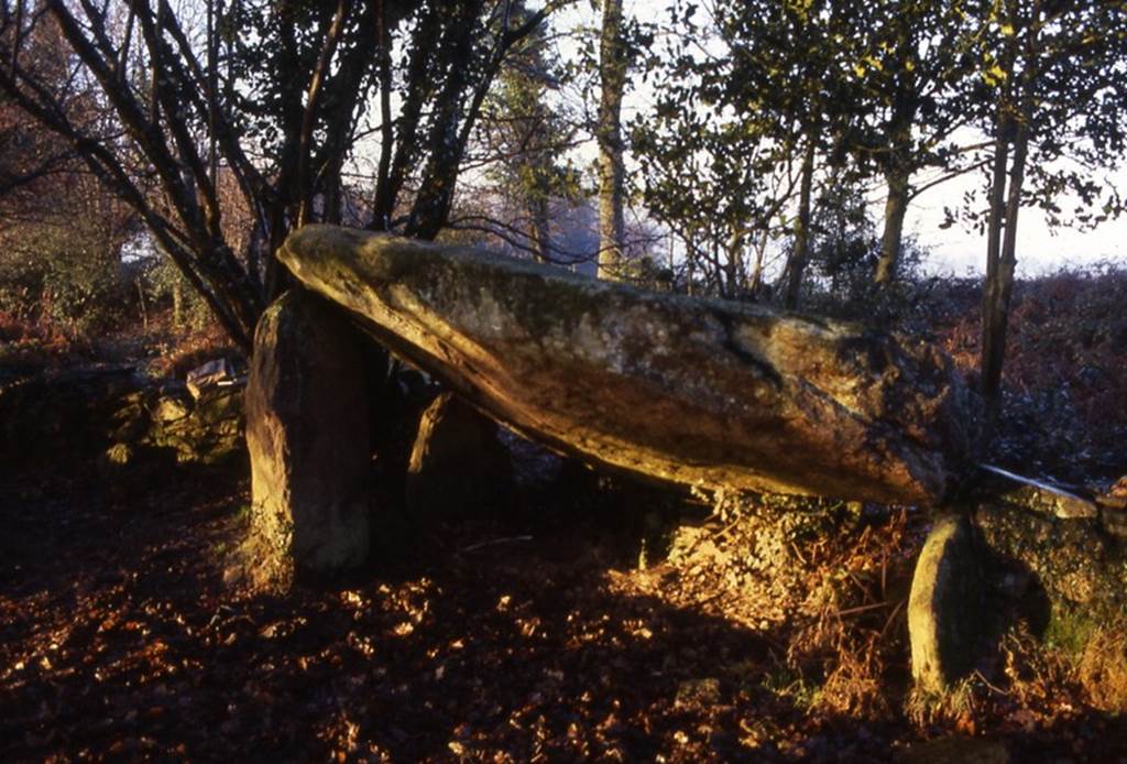 dolmen de la gree morbihan bretagne-sud