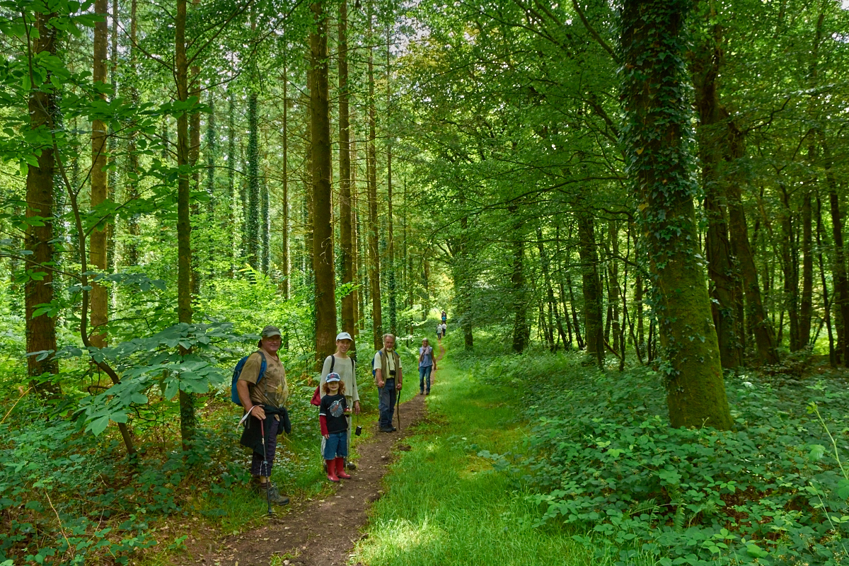 randonnée accompagnée - Pont-calleck - Berné - BD - @M-A Gouret-Puillandre (14) randonnée accompagnée - Pont-calleck - Berné - BD - @M-A Gouret-Puillandre (14)