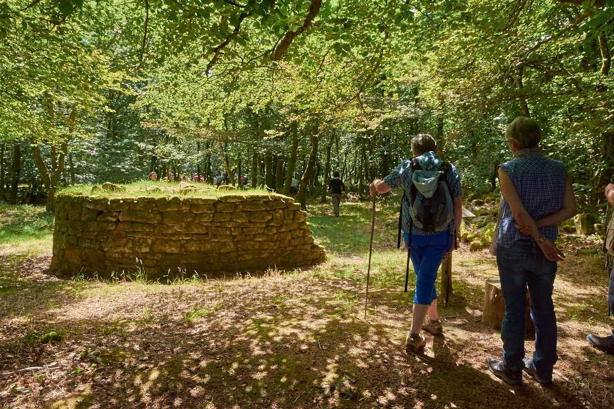 randonnee-accompagnee---Pont-calleck---Berne---BD----M-A-Gouret-Puillandre--16-