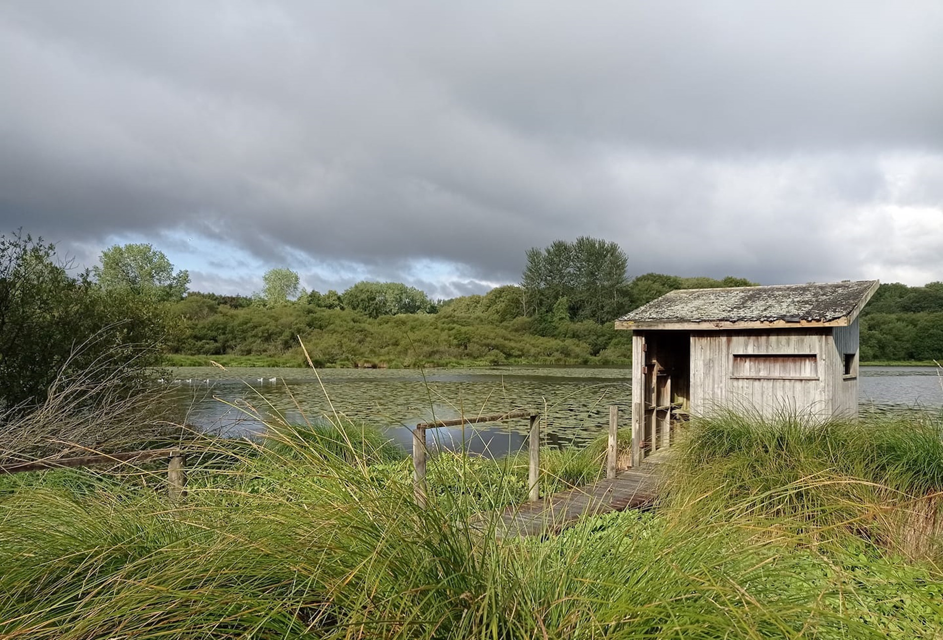 Ouvrir la diaporama L'étang du bourg de Saint Connan
