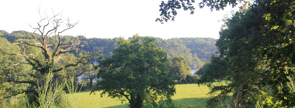 Site-de-l'Ile-Marzan-Morbihan-Bretagne-Sud